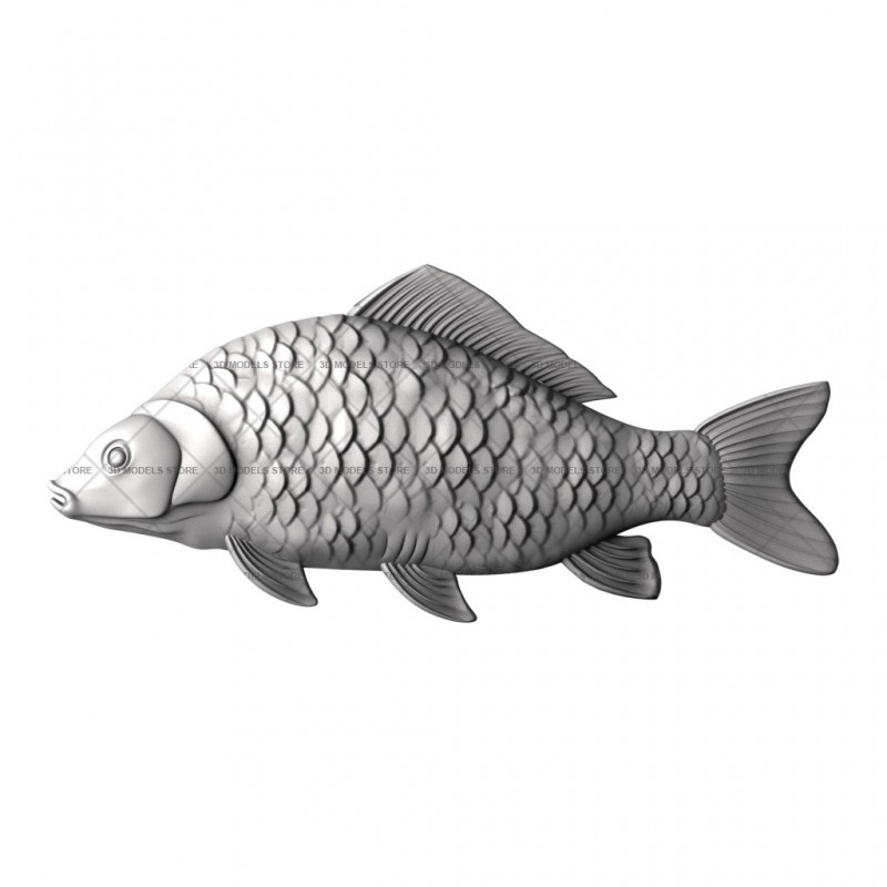 Panel Carp, 3d models (stl)